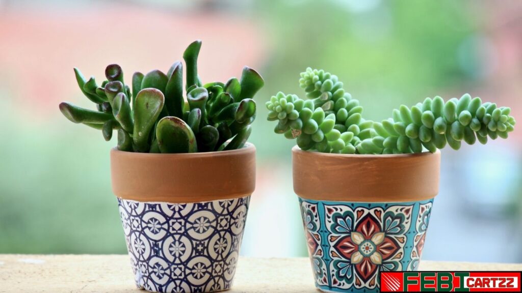 Best Artificial Plants for Home Decor: ये हैं हिट पिक्स!