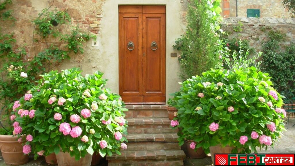 Natural Looking Artificial Plants क्यों चुनें? असली जैसा लुक, बिना परेशानी के!
